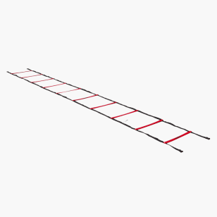 Rogue agility outlet ladder